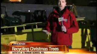 Don't trash your tree after Christmas