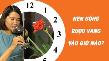 Nên Uống Rượu Vang Vào Thời Gian Nào Là Tốt Nhất