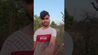 farm ka update bahut time ke bad  #viralvideo #minivlog #agrifuture #minivlog #agriuniversity