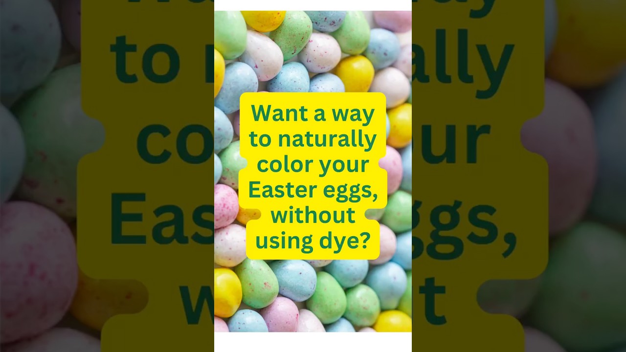 Dye-free Easter eggs using things in your garden.  