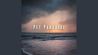 Pet's Path to Relaxation