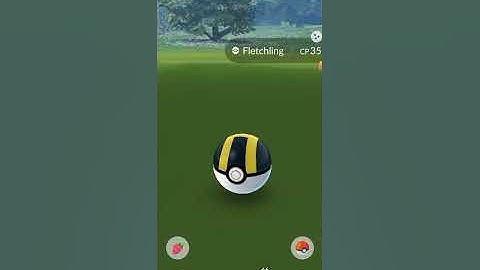 Shiny Fletchling Is Here!❤ #pokemon #pokemongo #shinypokemon #shiny #youtube #shorts #trending #pogo