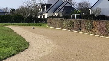 test 3s traxxas slash 4x4