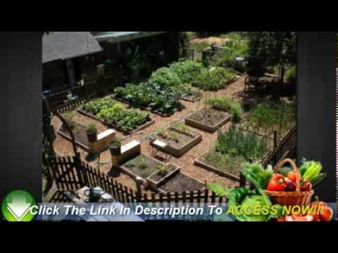 Vegetable Gardening For Beginners - 6 Easy Tips To Start You Off - YouTube