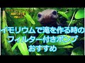 イモリウムのフィルター：イモリウムとイモリの飼育方法2020年