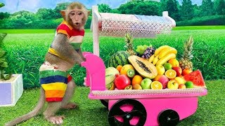 Zippy Monkeys Fruit Harvest Adventure Learning And Laughter In The Orchard