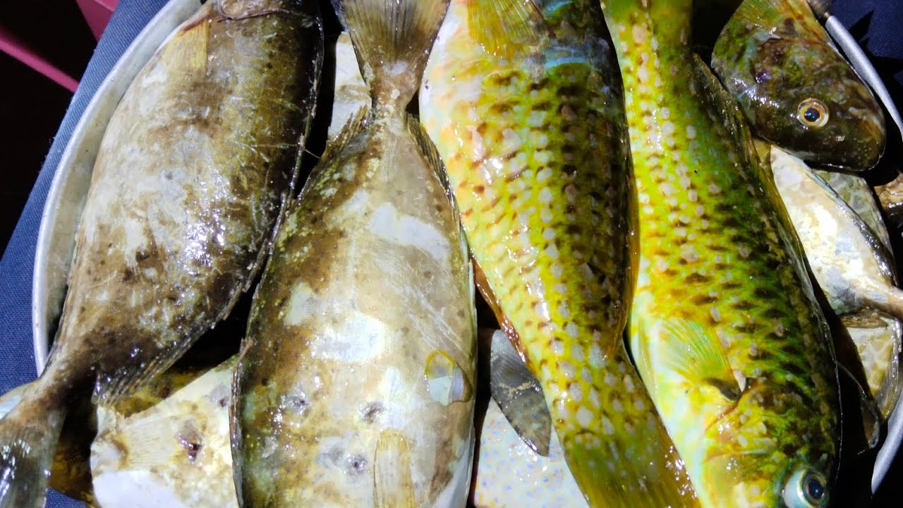 Tirada napud ta sa dagat lods adventure fishing ibaibang huli‼️ 