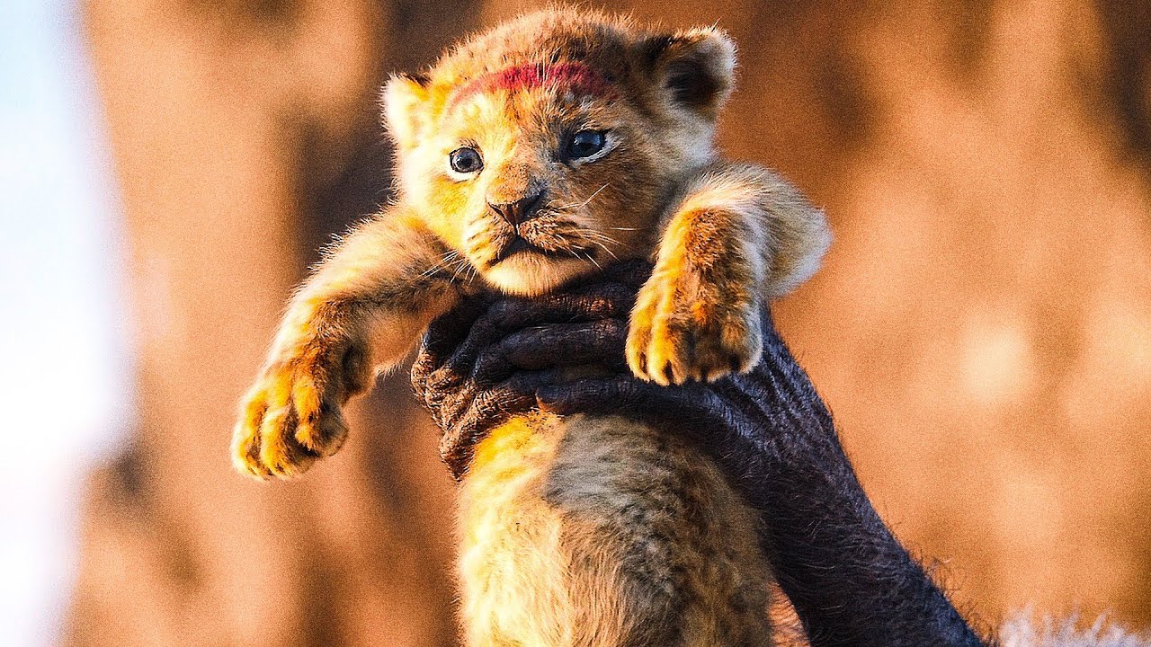 심바 탄생 장면 | 라이온 킹 (The Lion King, 2019) [4K] - YouTube