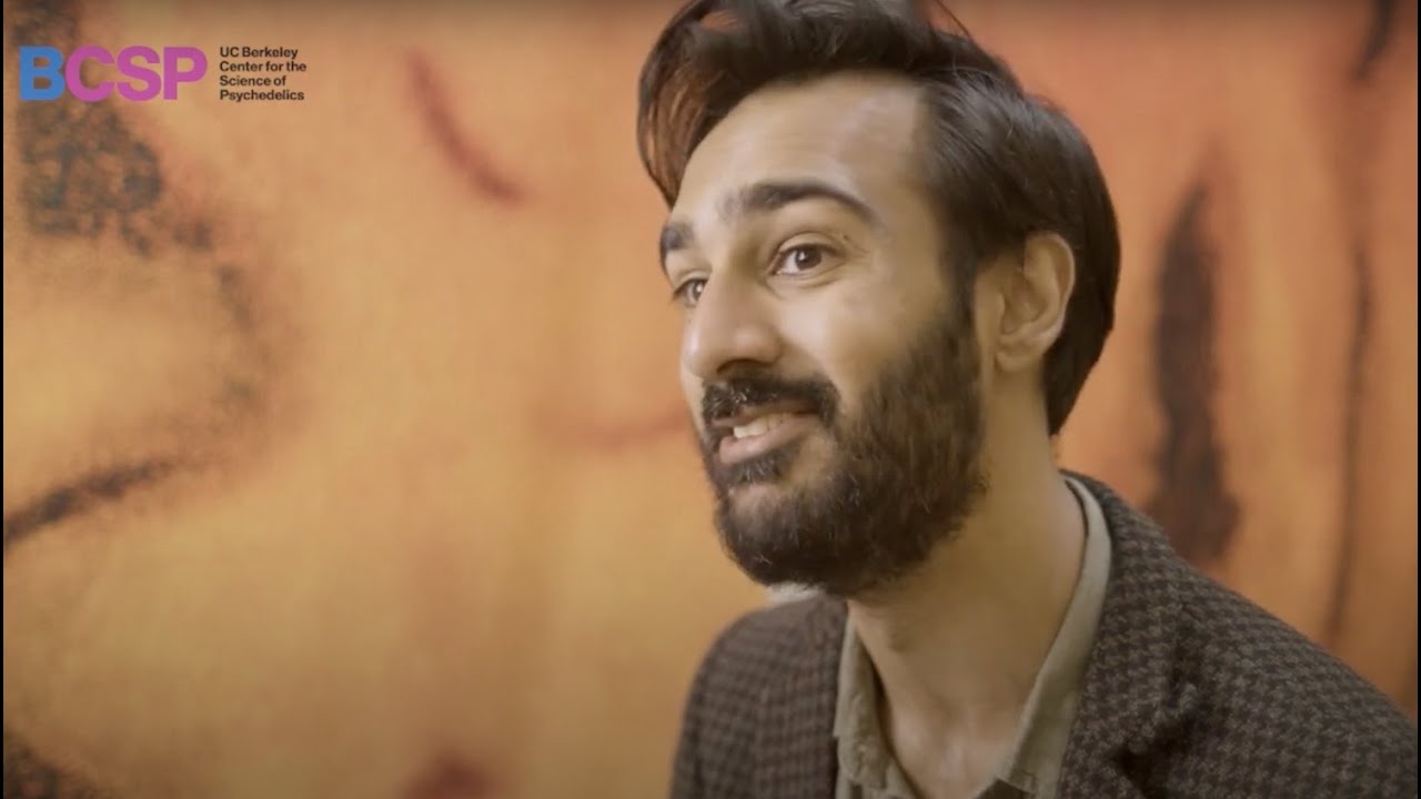 Psychedelics in Society and Culture - YouTube