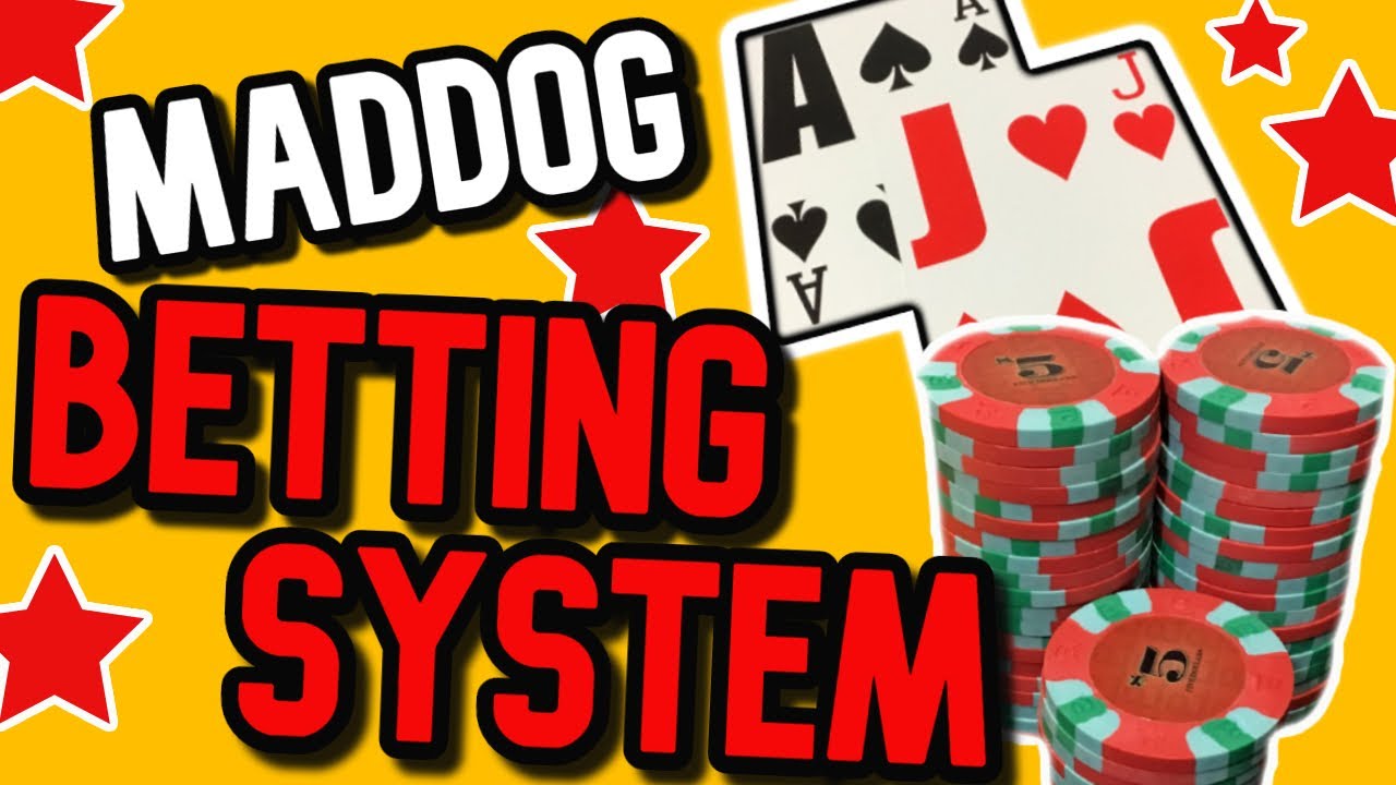 MadDog Blackjack Betting System Will it work? YouTube