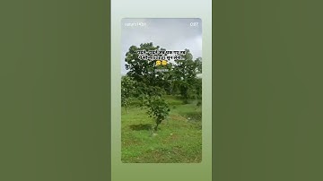 🥰🥰 #motivation #inspiration #viral #trending #travel #motivational #explore #foryou #love #nature