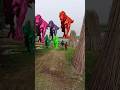 Big dinosaur chase T-rex chasing part 25 #shorts #dinosaur #youtube #dinosaurs #youtubeshorts