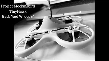 Project MockingBird|Back Yard Whoopin