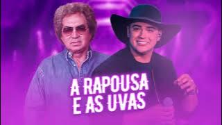 A Raposa e as uvas - Reginaldo Rossi - [VERSÃO ARROCHA] @QUALITYREMIXX