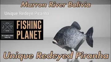 Redeyed Piranha - Marron River Bolivia - Fishing Planet