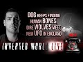 Dog Keeps Finding Human Bones, Dire Wolves Meet, New UFO in England | Ep. 92
