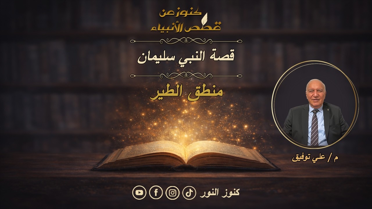 هل الهدهد كان يعرف لغة النبي سليمان وملكة سبأ؟ | قصة النبي سليمان | 4