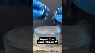 Celebrity Magnet 🧲 vs Liquid Nitrogen 🌧️ #Satisfying #Experiment #Science #ASMR #LiquidNitrogen Profile