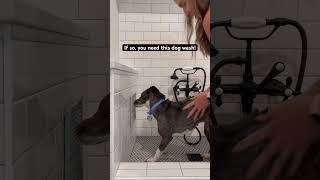 Custom Dog Wash 🐶 #doggroomingtips #dogfriendly #interiordesign #homedesign #homerenovation #dogs