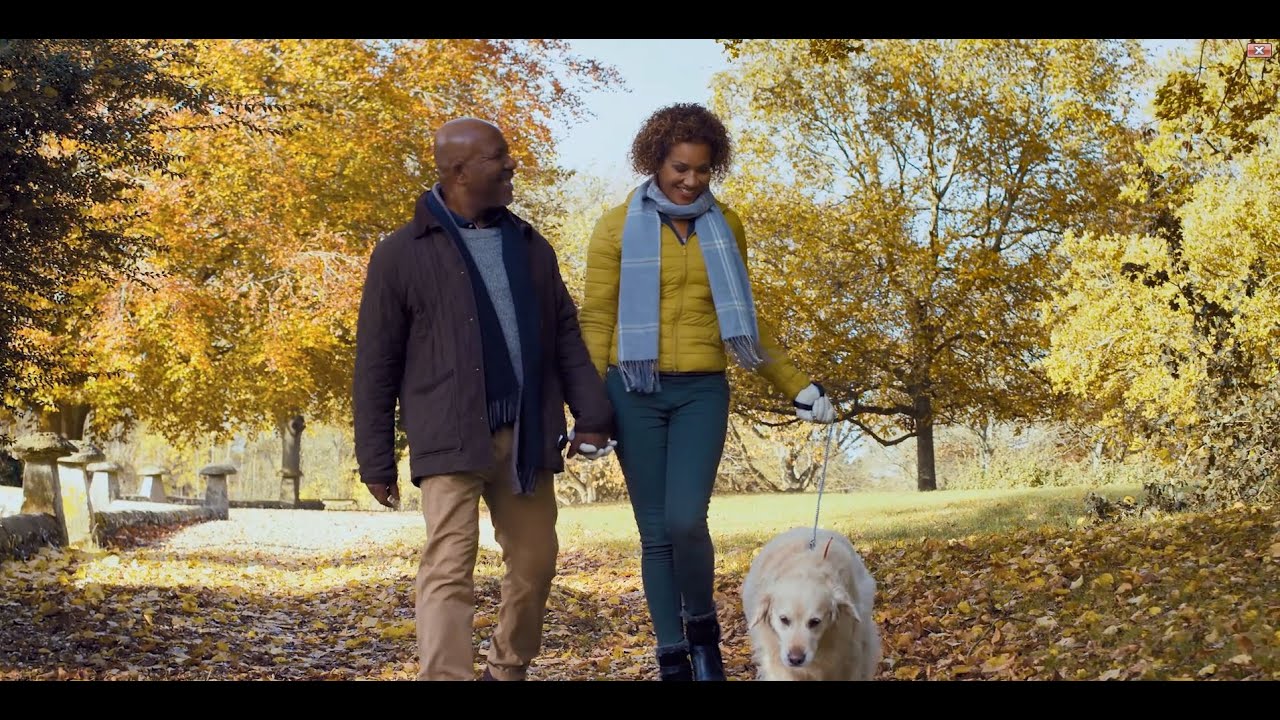 More with Minto - More Community Impact