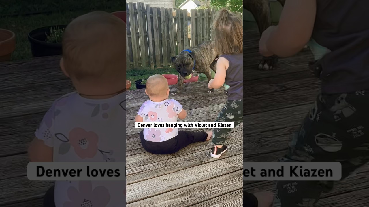 Making Babies Laugh 😀😀😀