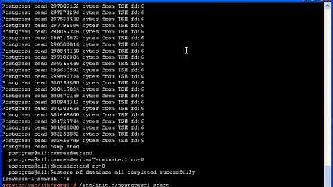 rdp4Postgres client restore