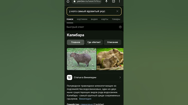 а я думаю, что мне так плохо🤢🤮 #подпишись #привет #ау #капибара #яд #укусименякапибара