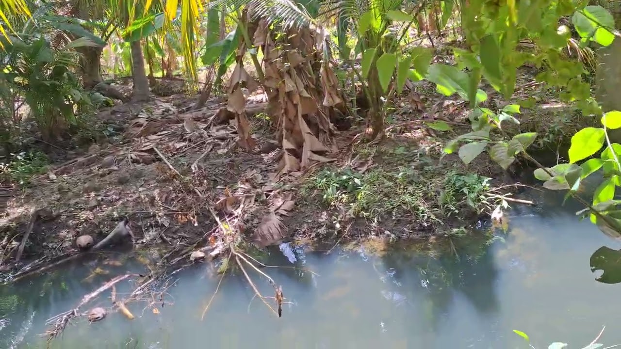 Nhớ lại những kỷ niệm