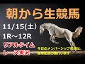 【競馬実況】　生配信！！　Horse Racing Commentary　as huge as a horse’s ！（東京、京都）ドジャース　おめでとう
