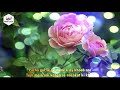 Beautiful Hamd  2021 | ALLAH Ho ALLAH Ho pocha gul se ye meine |By  Abdul Shakoor  | With Lyrics Mp3 Song