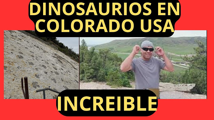 ¡Descubre huellas de dinosaurios en Denver Colorado!