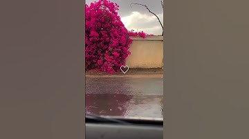 ارح مسمعك قليلا |¦القارئ إسلام صبحي //﴿رَبِّ هَب لي حُكمًا وَأَلحِقني بِالصّالِحينَ ﴾