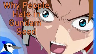 Why People Hate in Gundam Seed