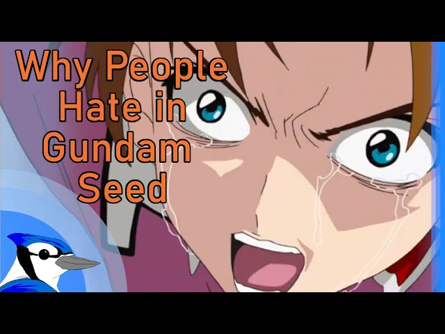 Why People Hate in Gundam Seed class=