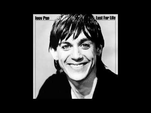 Βίντεο: Καθαρή αξία Iggy Pop: Wiki, Έγγαμος, Οικογένεια, Γάμος, Μισθός, Αδέρφια