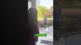 Boy Asks His Crush To Prom &amp; His Friends Ruined It 😭❤️🥹
