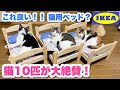 IKEAのベッドを猫10匹にあげたら大絶賛だったので紹介します！【超おすすめ】