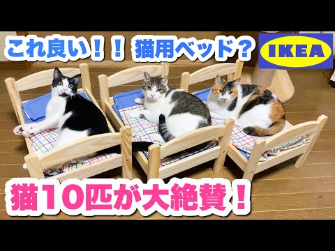 狸猫さま　専用ページ hqdefault.jpg