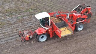 Harvesting potatoes with Grimme