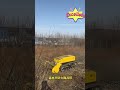 Strongman who knocks down big trees
