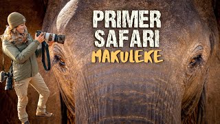 SUDÁFRICA Ep2 |  ¡Primer Safari en Parque KRUGER! 4K
