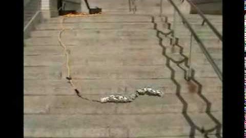 Modsnake: Down Stairs