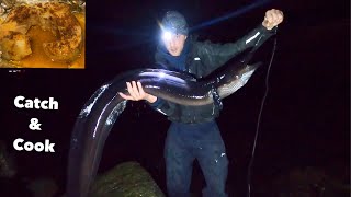Hand Lining MASSIVE EELS at Night - catch & cook conger eel