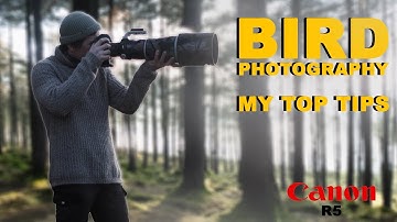 UK Bird Photography Tips