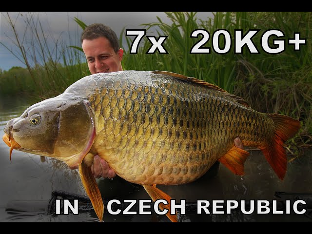 7 kaprů přes 20 kg během týdnu na české vodě 