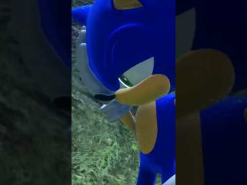 Video: Vai Sonic balss aktieris nomira?