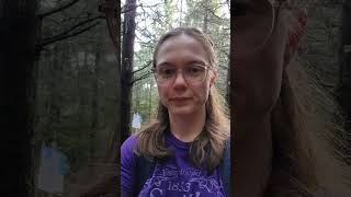 Forest Philosophy - The Way in Mordor