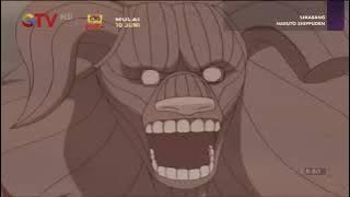 Naruto shippuden