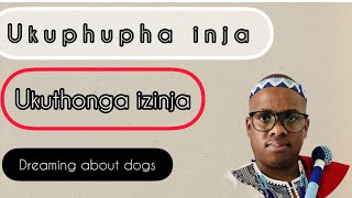 Ukuphupha Inja #dreams