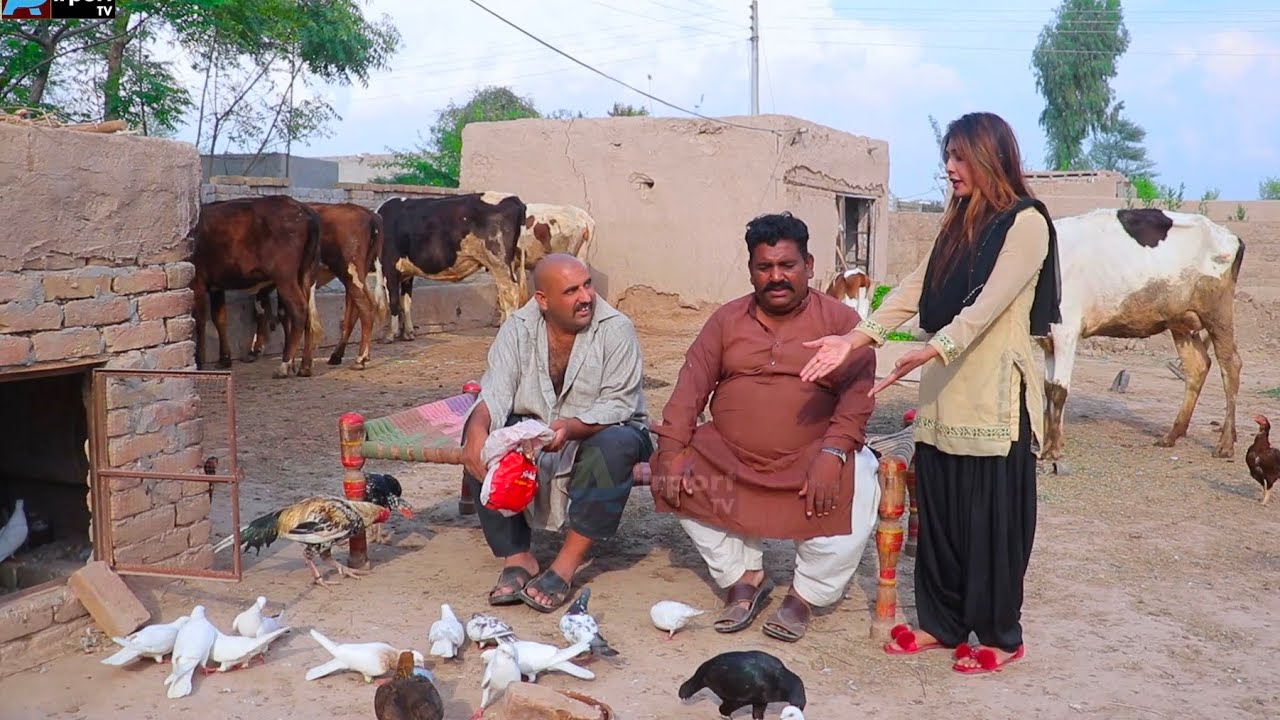 Kabootraan di lrai|Airport|Chanda|Rocket|1122|Ch boota|new funny video 2025 by Airport Tv